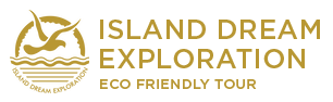 Island Dream Exploration